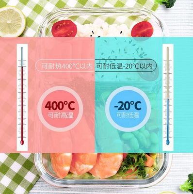 গুণ Borosilicate Pressed Glass Lunch Boxes With Locking Lids কারখানা